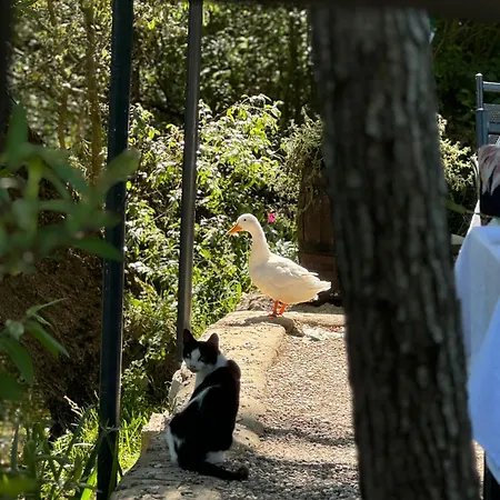 Autocamp Laks * Blagaj